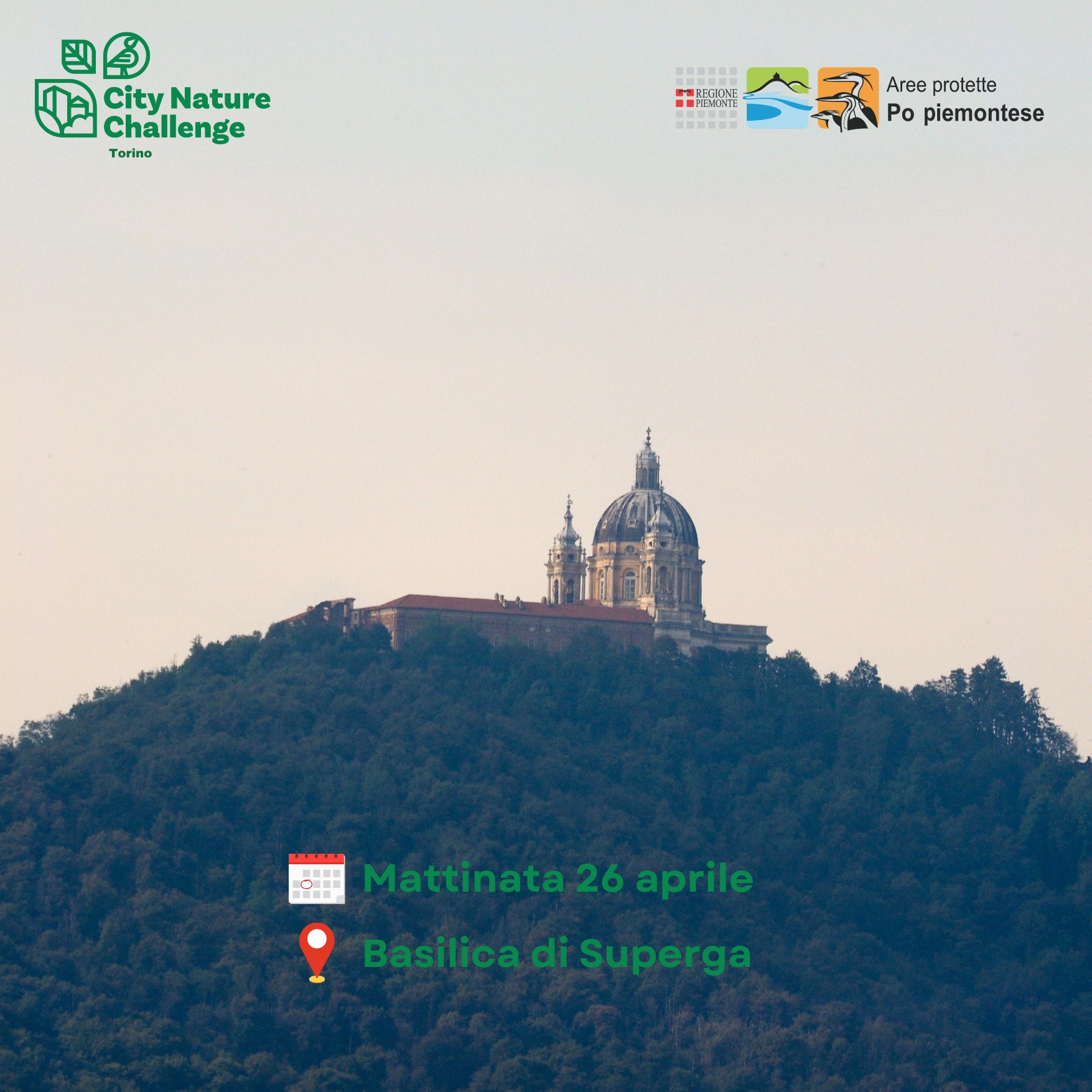 City Nature Challenge 2026: la flora di Superga